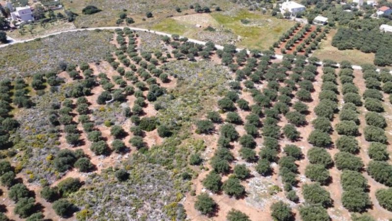 Chorafakia Kreta, Chorafakia: Schönes Grundstück mit Meerblick und Bergblick zu verkaufen Grundstück kaufen